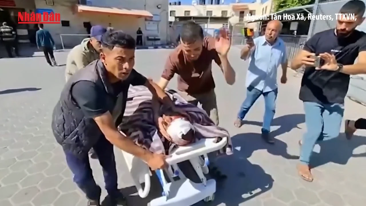 [Video] Lực lượng Israel phủ nhận nổ súng khiến 31 người xin viện trợ thiệt mạng