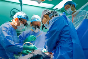 Ê-kíp ghép tim tập trung cao độ thực hiện ca ghép. 