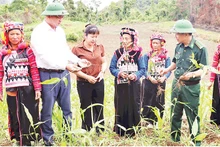 Cán bộ Bộ đội Biên phòng, Ủy ban Mặt trận Tổ quốc Việt Nam tỉnh Điện Biên hướng dẫn bà con bản Tả Ló San cách trồng, chăm sóc cây sa nhân.