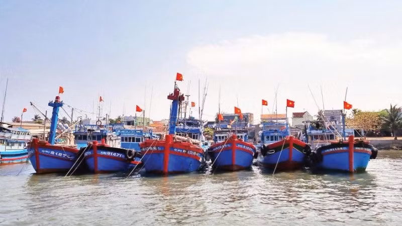 Các tỉnh, thành phố có biển tăng cường kiểm tra, kiểm soát các tàu cá ra vào cảng để chống đánh bắt IUU.