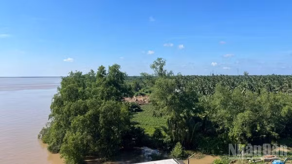 Thanh tra tỉnh Vĩnh Long đề nghị làm rõ trách nhiệm đối với các tổ chức, cá nhân liên quan tại Dự án Khu du lịch sinh thái Cồn nổi Thanh Tân.