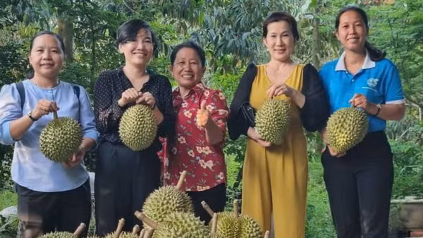 Hợp tác xã Nông nghiệp Tân Phú phát triển sản phẩm OCOP 4 sao từ quả sầu riêng. (Ảnh: HOÀNG TRUNG)