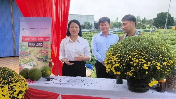 Lãnh đạo chính quyền địa phương tham gia bán hàng livestream giúp nông dân.