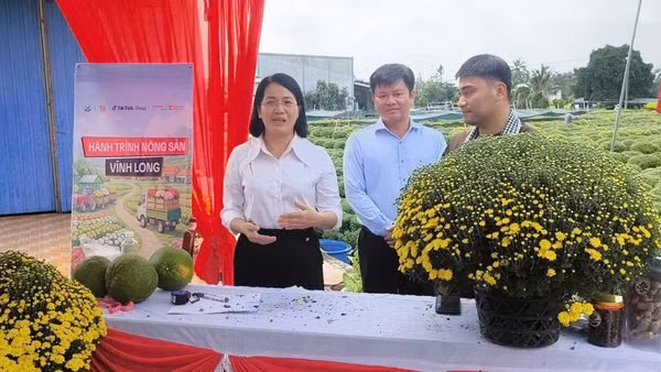 Lãnh đạo chính quyền địa phương tham gia bán hàng livestream giúp nông dân.