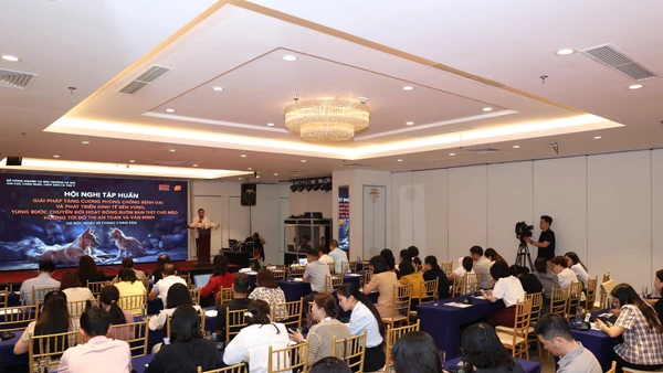 Toàn cảnh Hội nghị tập huấn.