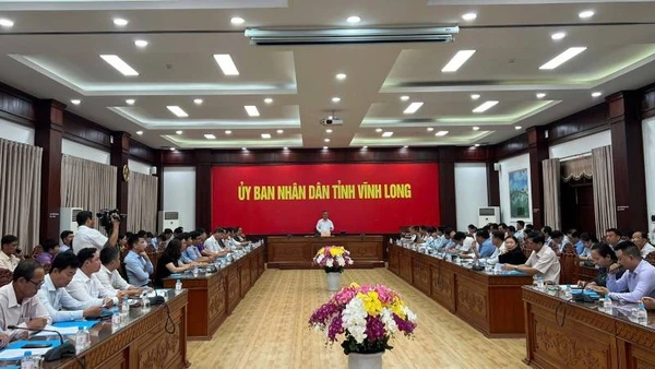 Tỉnh Vĩnh Long tổ chức làm việc với các doanh nghiệp, hợp tác xã về liên kết sản xuất và xuất khẩu dừa.