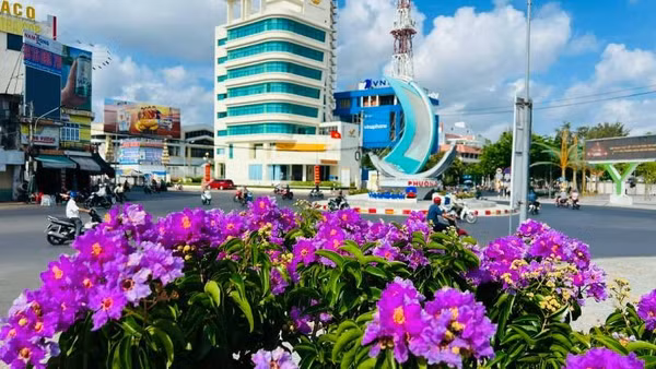 Trung tâm đô thị phường An Hội (tỉnh Vĩnh Long) rực rỡ trong sắc hoa tím bằng lăng.