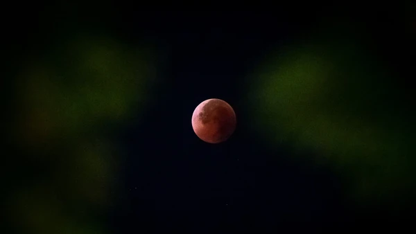 Mặt trăng sẽ có một màn “biến hình” cực kỳ ấn tượng: Thay vì sắc vàng thông thường, vệ tinh này sẽ nhuộm một màu đỏ đồng. Trong ảnh là hiện tượng nguyệt thực toàn phần, thường được gọi là “trăng máu” xuất hiện trên bầu trời Hà Nội rạng sáng 8/9/2025. Ảnh: THÀNH ĐẠT.