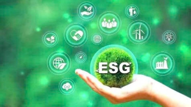 Áp dụng các tiêu chí ESG (môi trường-xã hội và quản trị) trong sản xuất nông nghiệp là xu hướng hiện nay. (ẢNH MINH HỌA)