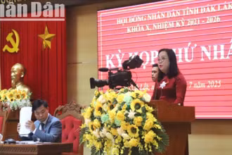 Phó Bí thư Thường trực Tỉnh ủy, Chủ tịch Hội đồng nhân dân tỉnh Đắk Lắk Cao Thị Hòa An phát biểu khai mạc kỳ họp.