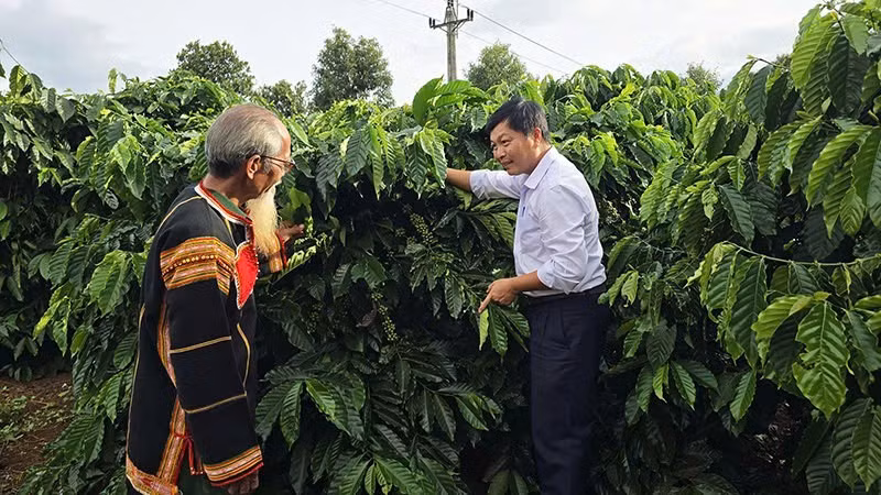 Ia Phí kiến tạo nền nông nghiệp xanh, bền vững và hiệu quả