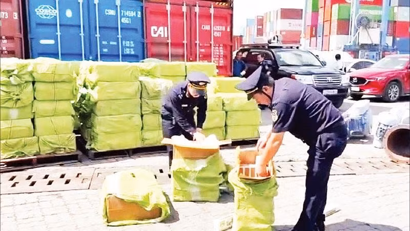 Lực lượng chức năng kiểm tra hàng hóa có dấu hiệu vi phạm tại Cảng Cát Lái, Thành phố Hồ Chí Minh. (Ảnh THANH HÒA)