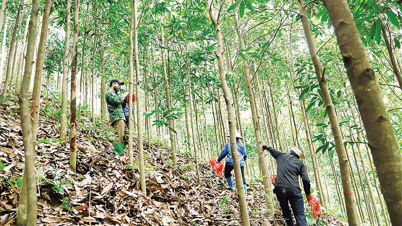 Công tác kiểm đếm được tiến hành khẩn trương, chính xác, bảo đảm không thiếu sót.