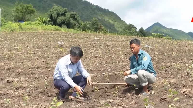 Cán bộ xã thường xuyên xuống cơ sở hướng dẫn người dân phát triển kinh tế tăng tiêu chí giảm nghèo