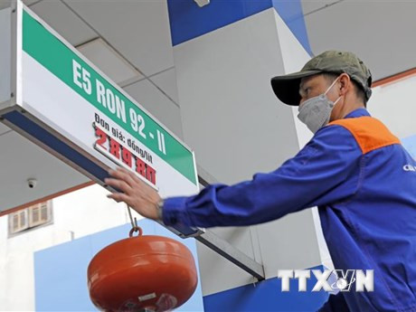 (Ảnh minh họa: TTXVN)