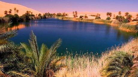 Ảnh minh họa. (Nguồn: Reuters)