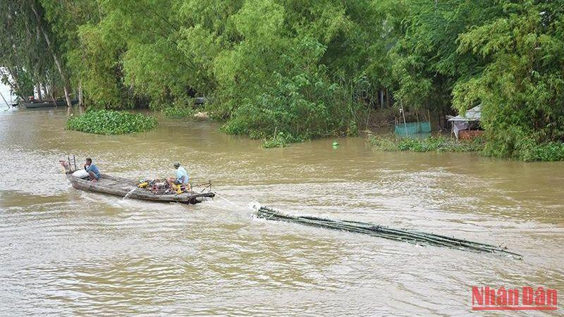 Nước lũ dâng cao tại thành phố biên giới Hồng Ngự, ngày 12/10 (ảnh: HỮU NGHĨA).
