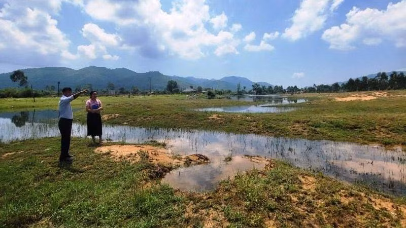 Hiện trạng di tích khảo cổ quốc gia Phôi Phối-Bãi Cọi. 