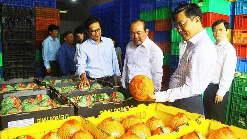 Đoàn công tác khảo sát tại HTX trái cây sinh học OCOP ở huyện Châu Thanh.
