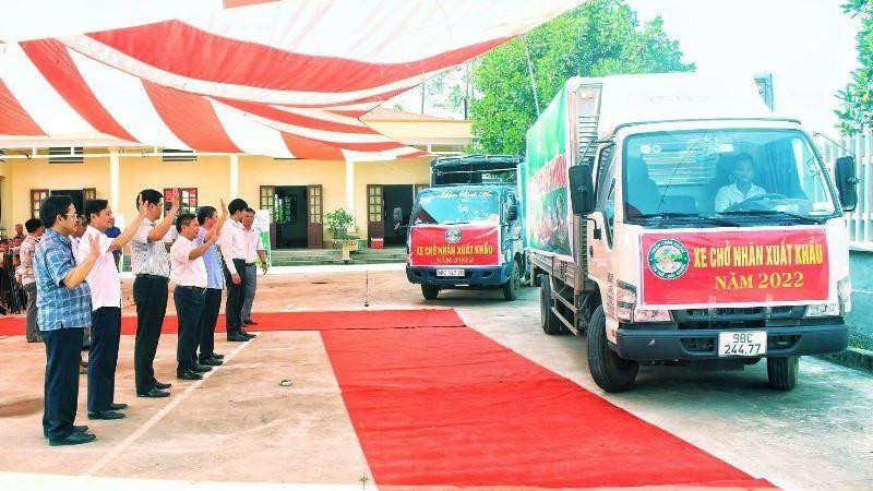Xe chở nhãn xuất khẩu tại sự kiện.