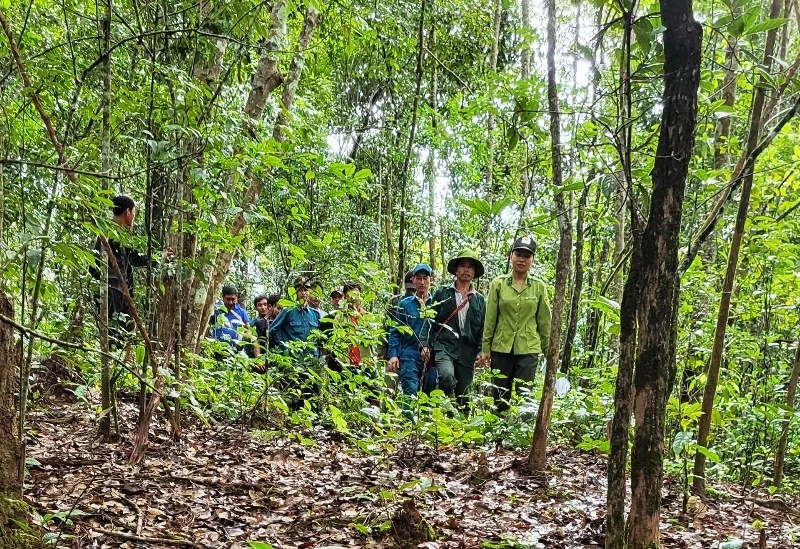 Kiểm lâm địa bàn cùng các chủ rừng trên địa bàn huyện Mường Nhé tuần tra, bảo vệ rừng thuộc khu vực rừng đã được chi trả dịch vụ môi trường rừng.