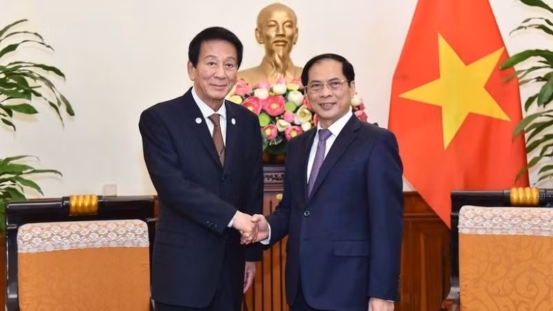 Bộ trưởng Ngoại giao Bùi Thanh Sơn tiếp nguyên Đại sứ Đặc biệt Nhật Bản-Việt Nam Sugi Ryotaro. (Ảnh: TTXVN)