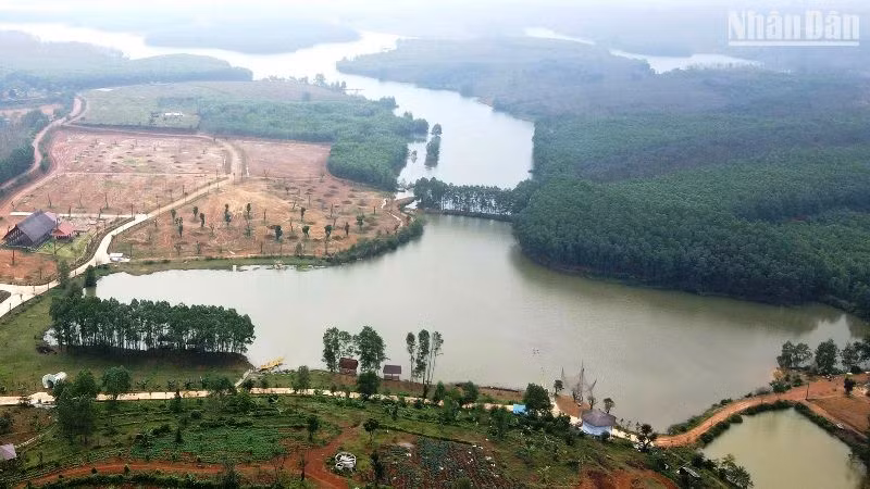 Hồ ở giữa trong hình là phần diện tích hơn 2,4ha của thửa đất số 372 thuộc phạm vi bảo vệ lòng hồ công trình Hồ thủy lợi Hà Thượng đã được cấp Giấy chứng nhận sử dụng đất và ông Bùi Mạnh Dũng nhận chuyển nhượng rồi sử dụng sai mục đích.