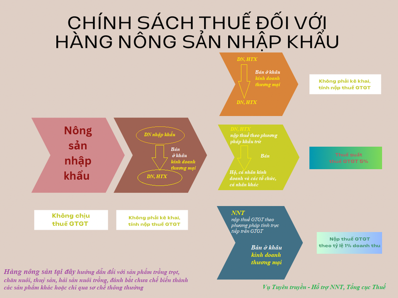 (Ảnh: Tổng cục Thuế)