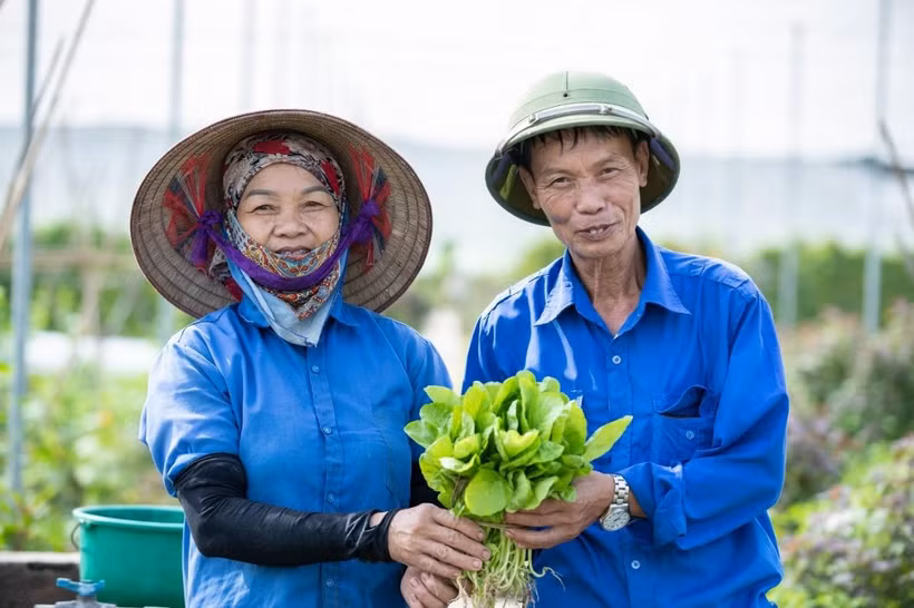 Cách lựa chọn được đúng thực phẩm sạch