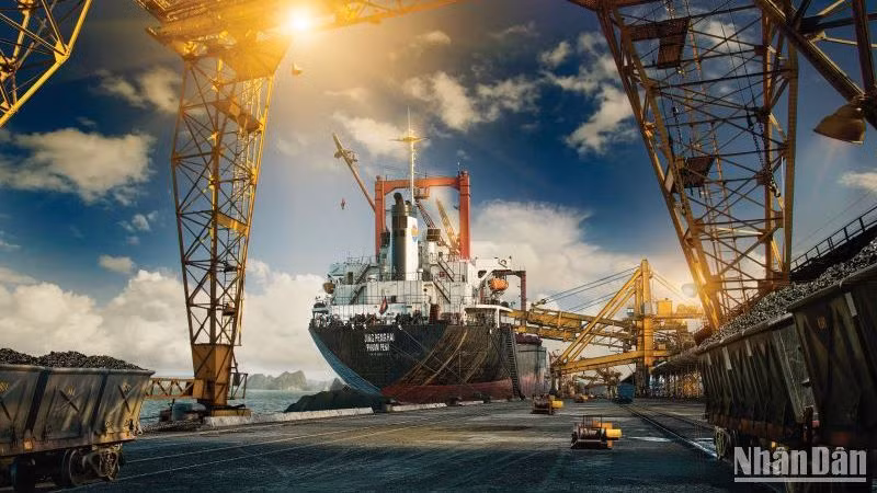 Công ty Tuyển than Cửa Ông (TKV) bốc xúc than cho các hộ tiêu thụ.