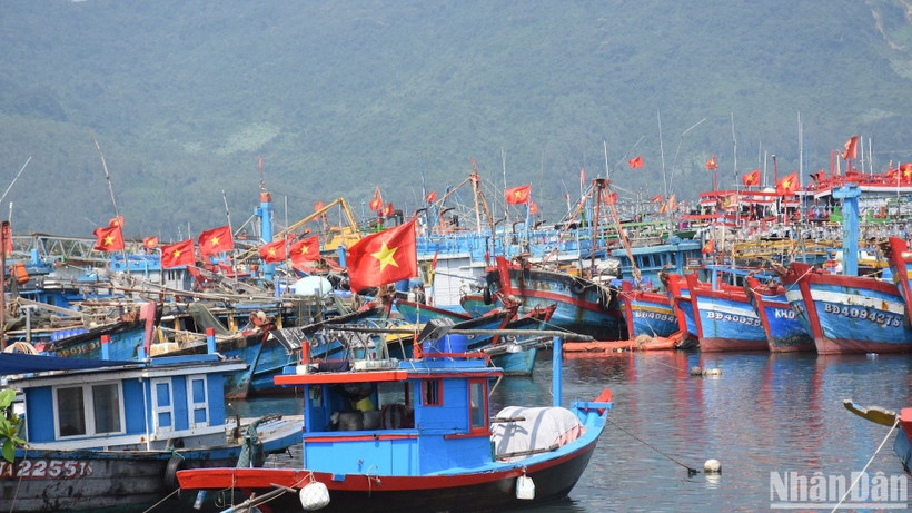 Công tác phối hợp giữa các địa phương để theo dõi, giám sát hoạt động tàu cá, chống khai thác IUU là rất cần thiết. (Ảnh: ANH ĐÀO)