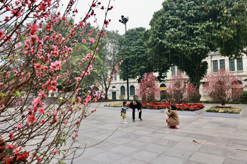 Nhiều gia đình xuất hành đầu năm và du Xuân ngay từ sáng sớm mùng 1 Tết. (Ảnh: Nhật Anh/TTXVN)