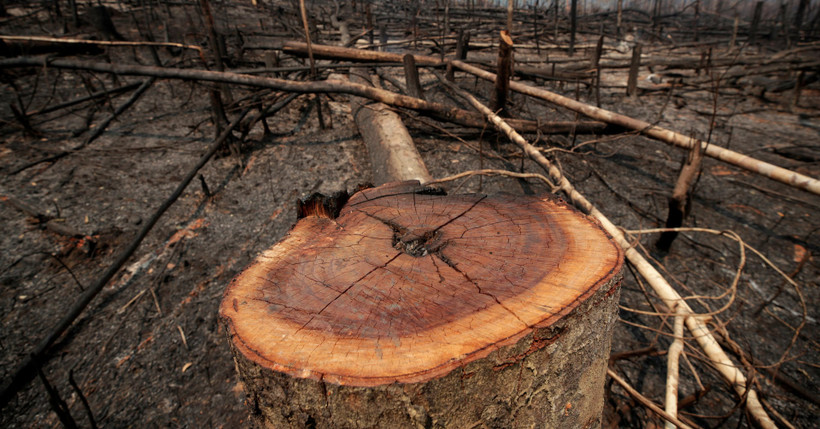 (Ảnh minh họa: Reuters)