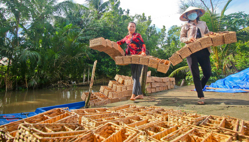 Mô hình đan lục bình giúp giải quyết việc làm, vươn lên thoát nghèo.