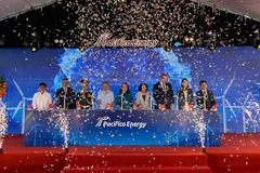 Đại biểu tham dự buổi lễ thực hiện nghi thức khánh thành Nhà máy điện gió Sunpro.