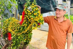 Nghệ nhân Trần Văn Trưởng tạo dáng cây quất thành hình con ngựa bán trong dịp Tết.