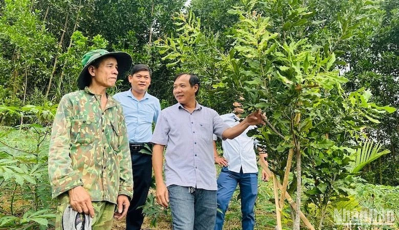 Chương trình Mỗi xã một sản phẩm hỗ trợ người dân miền núi phát triển kinh tế hộ gia đình.