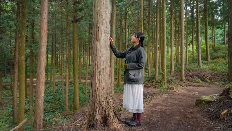 Tận hưởng không gian thư giãn tại rừng Gochang. (Ảnh: QUỸ VĂN HÓA DU LỊCH JEONBUK)