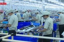 [Video] Nhu cầu tuyển dụng lớn công nhân lao động cho các khu công nghiệp phía Bắc