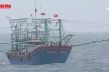 [Video] Biển Đông có thể đón 7 cơn bão trong 3 tháng tới