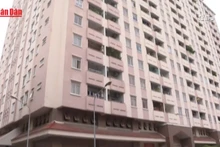 [Video] Linh hoạt chính sách cho vay nhà ở xã hội, hỗ trợ người trẻ an cư