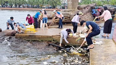 Cán bộ, đảng viên và nhân dân thành phố Phú Quốc thu gom rác ở bờ biển.