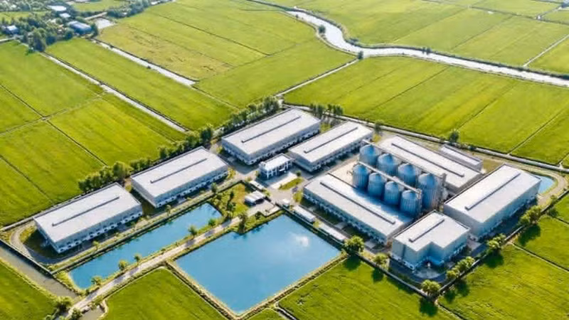 Phối cảnh tổng thể nhà máy chế biến gạo chất lượng cao của Tập đoàn ThaiBinh Seed.