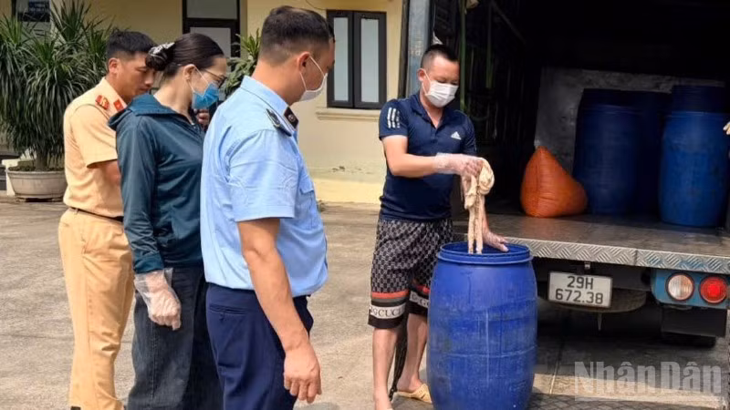 Hàng nghìn kg lòng lợn ôi thiu, bốc mùi, thậm chí đang phân hủy được lực lượng Quản lý thị trường và các cơ quan liên quan kịp thời phát hiện, xử lý.