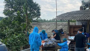 Tiêu hủy lợn bị bệnh tại xã Phù Ninh ngày 24/7.