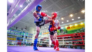 Muay Việt Nam (đỏ) áp đảo huy chương tại Giải vô địch châu Á 2025. Ảnh | IFMA