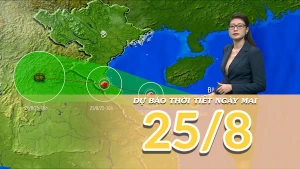 [Video] Dự báo thời tiết đêm nay và ngày mai 25/8/2025: Bão số 5 tăng cấp