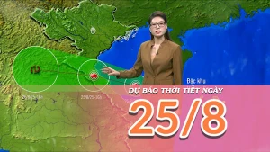 [Video] Dự báo thời tiết ngày 25/8/2025: Bão số 5 tiến vào đất liền