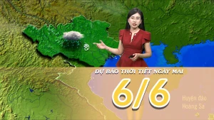 [Video] Dự báo thời tiết đêm nay và ngày mai 6/6/2025: Mưa giảm tại Bắc Bộ và Trung Bộ