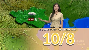 [Video] Dự báo thời tiết đêm nay và ngày mai 10/8/2025: Bắc Bộ không mưa, trời oi nóng
